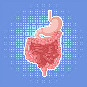 Lower GI Endoscopy