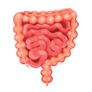 Sigmoidoscopy