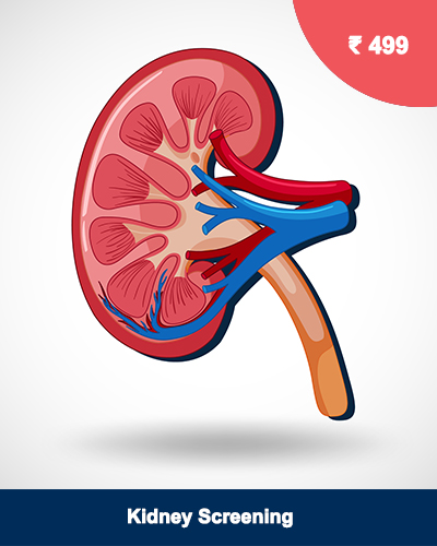 Kidney Screening